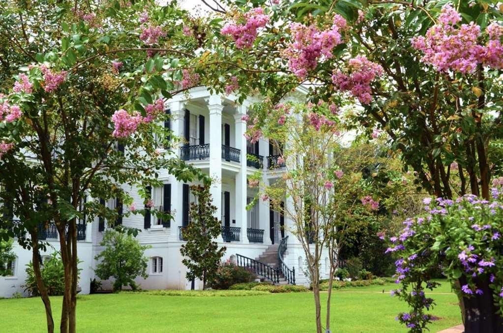 Nottoway Plantation And Resort White Castle المظهر الخارجي الصورة